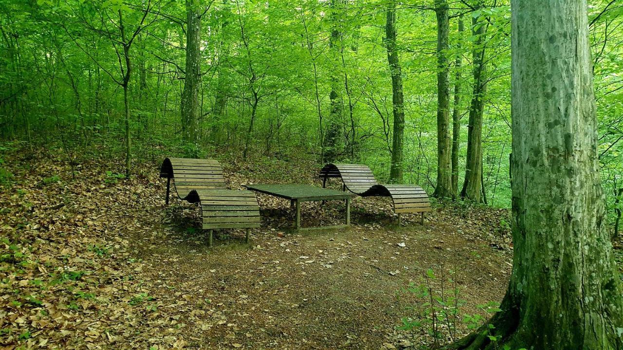 Hillside Garden Apartman Leilighet Zalakaros Eksteriør bilde
